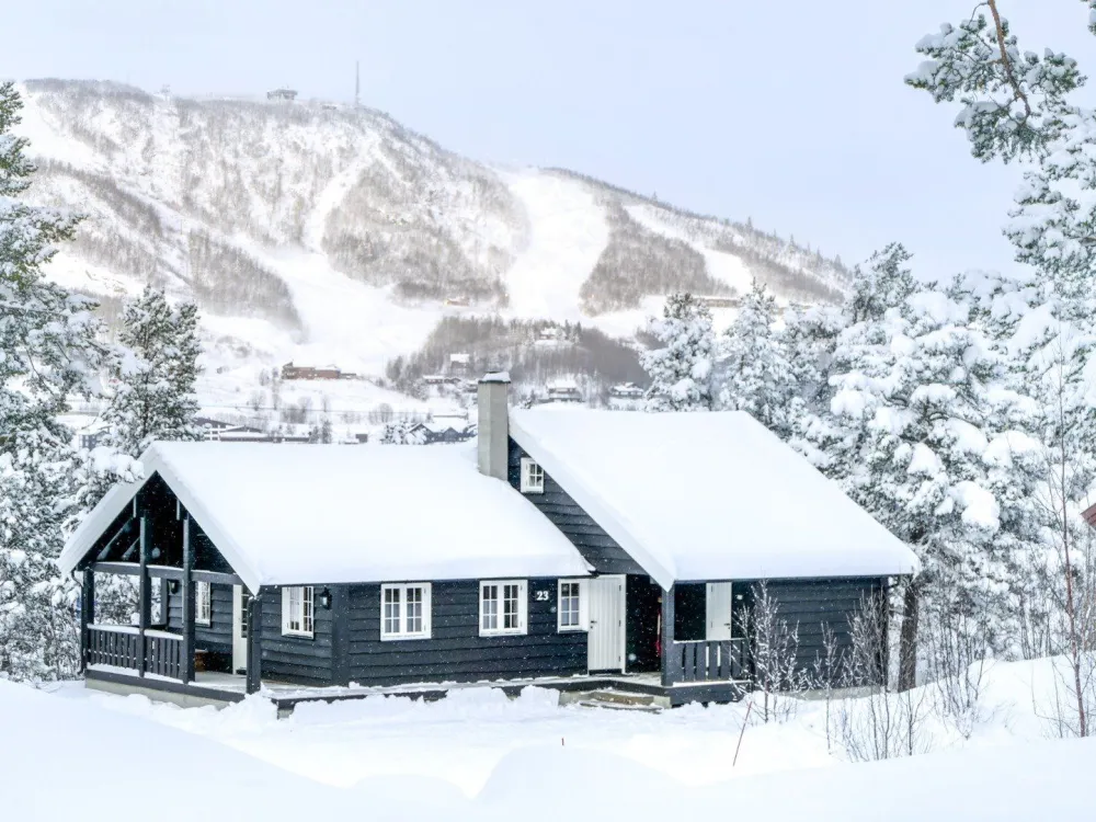 Standard hytte med 5 soverom/12 senger - Geilolia Hyttetun