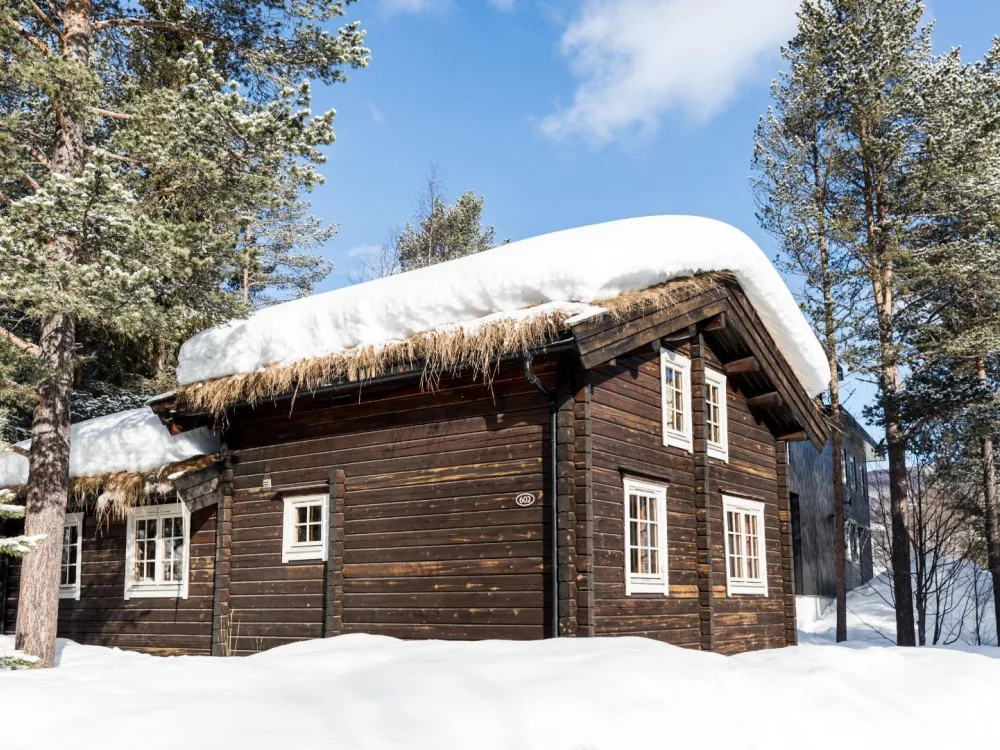Skipasspaket till Bardöla Hytter under helvecka