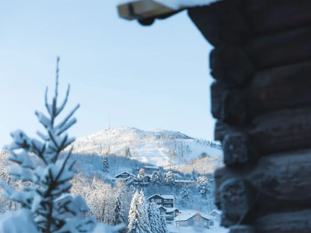 Skipasspaket till Bardöla Fjelltun under helvecka